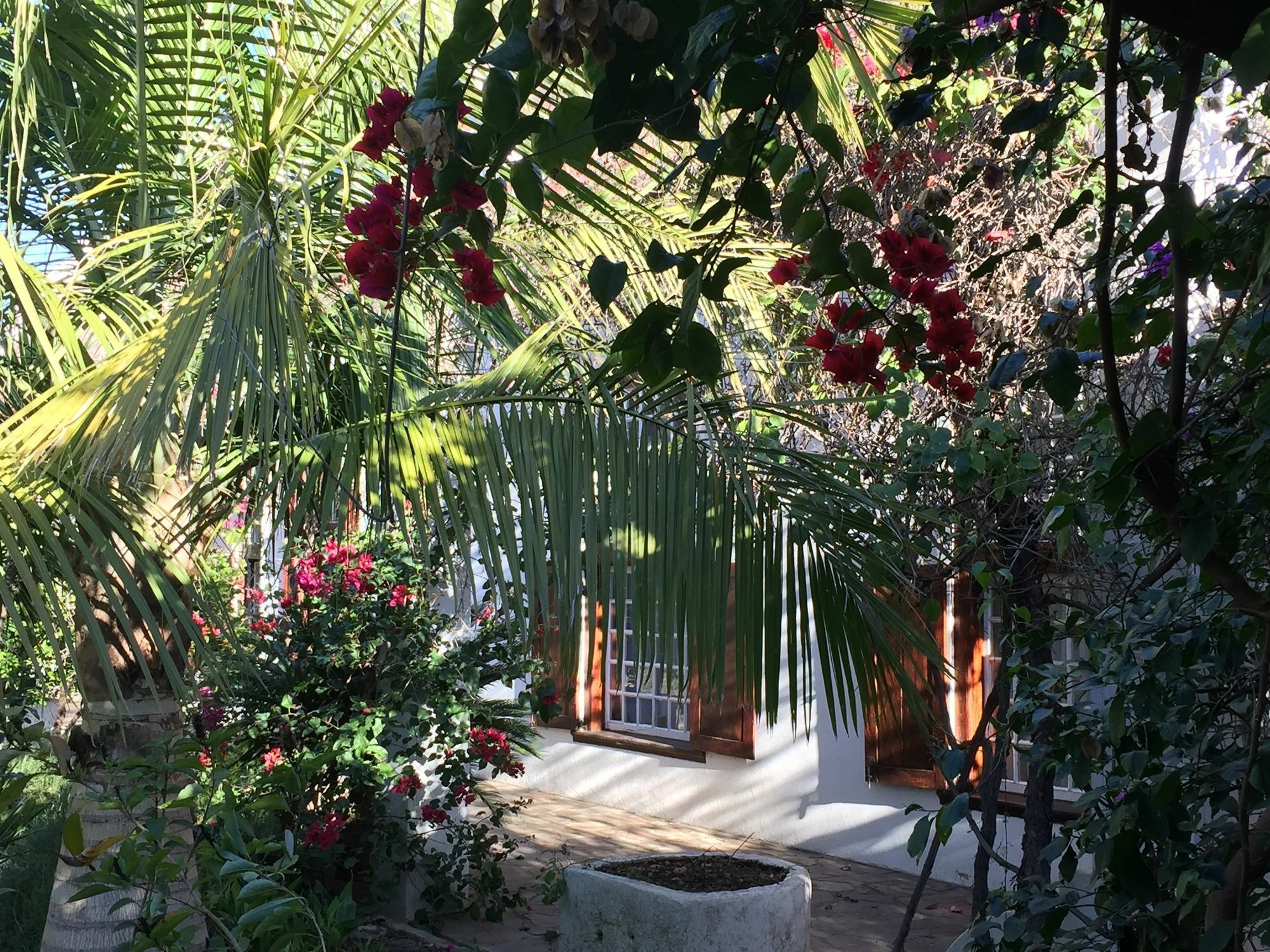 Wittedrift Manor House Otel Tulbagh Dış mekan fotoğraf