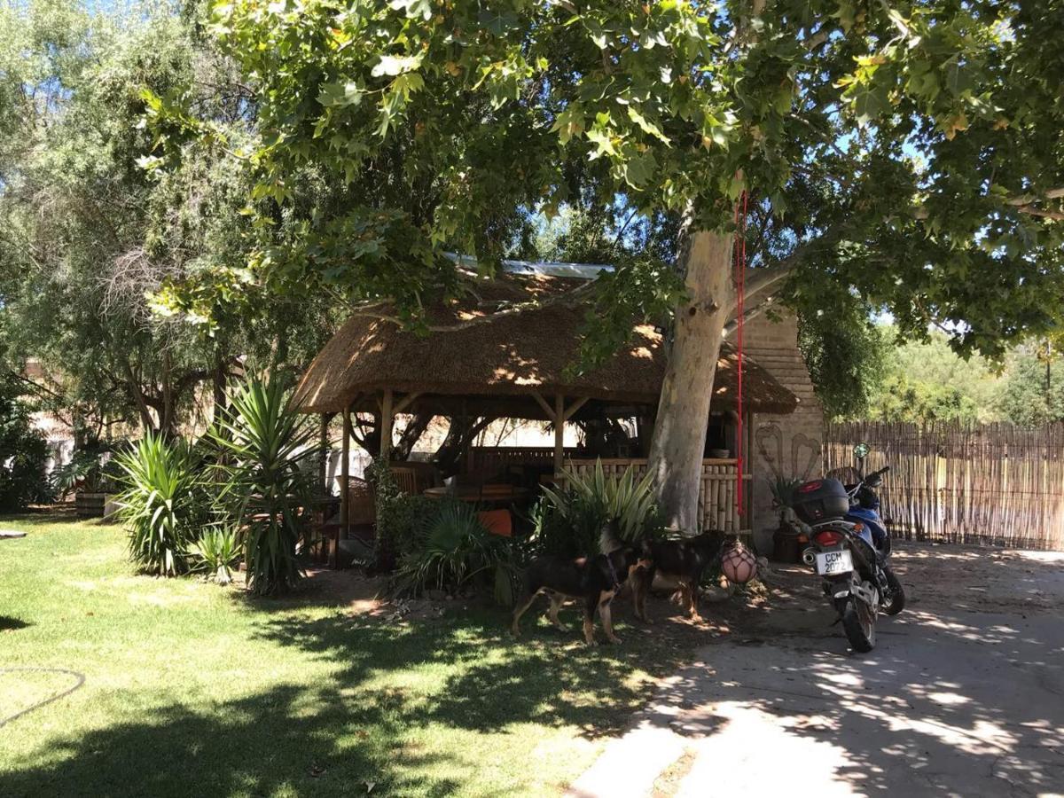 Wittedrift Manor House Otel Tulbagh Oda fotoğraf